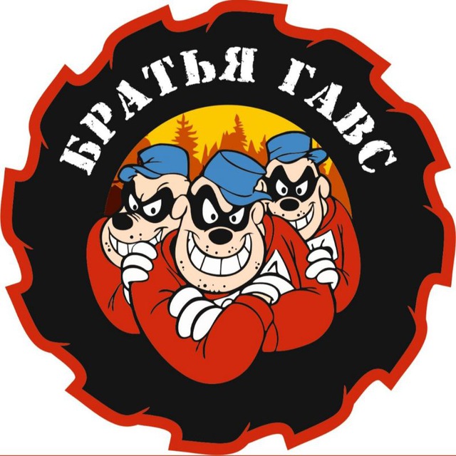 Братья Гавс из мультсериала Утиные истории ( фото) 🔥 Прикольные картинки и юмор
