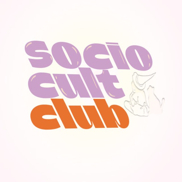 Обществознание ЕГЭ 2025 | СОЦИОКУЛЬТ