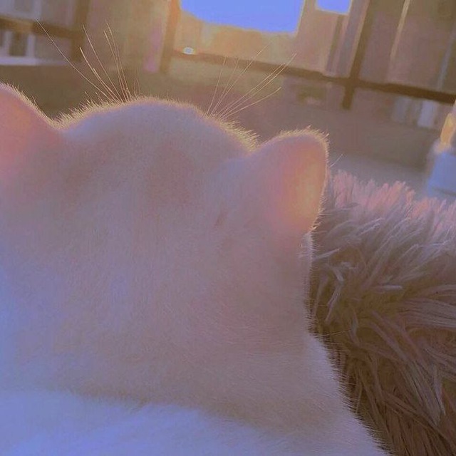 miori.txt ♡