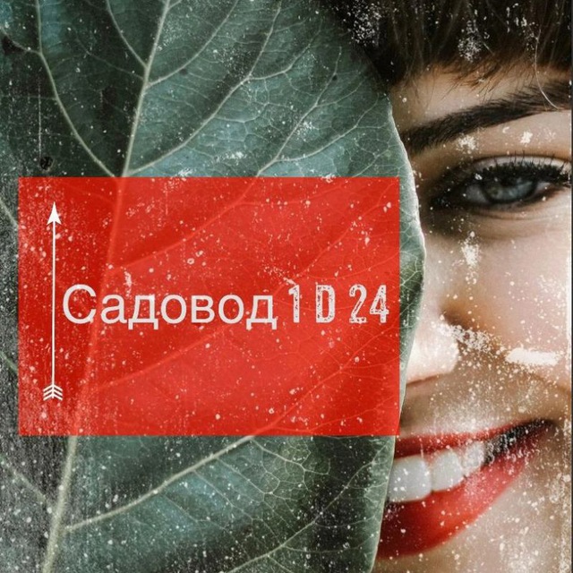 Корпус А 1 этаж линия д-24 Ольга Турция