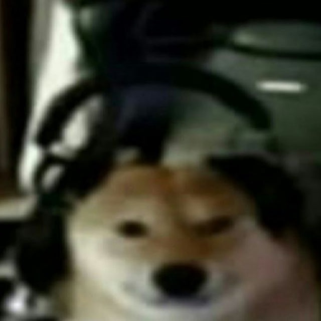 будка догича