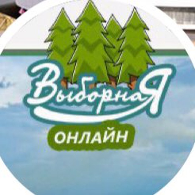 Выборная онлайн Новосибирск