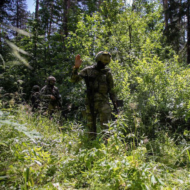 Сапёры спецназа Z