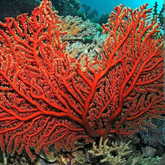 Геннадий Горин