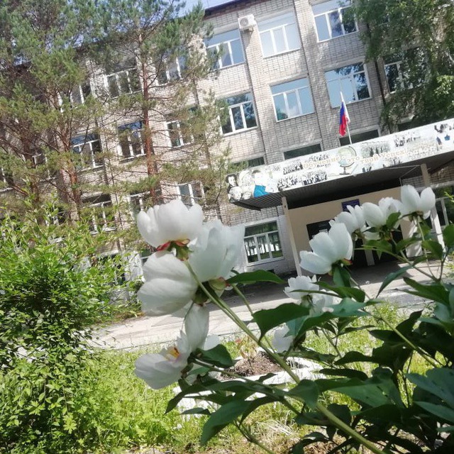 МОАУ СОШ 1 г. Шимановска