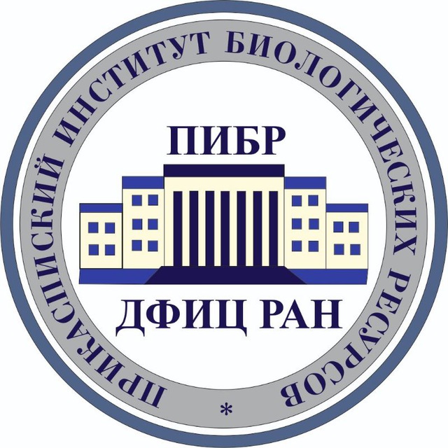 ПИБР ДФИЦ РАН