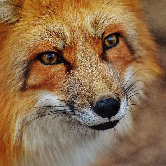 渗透/安全推送中心