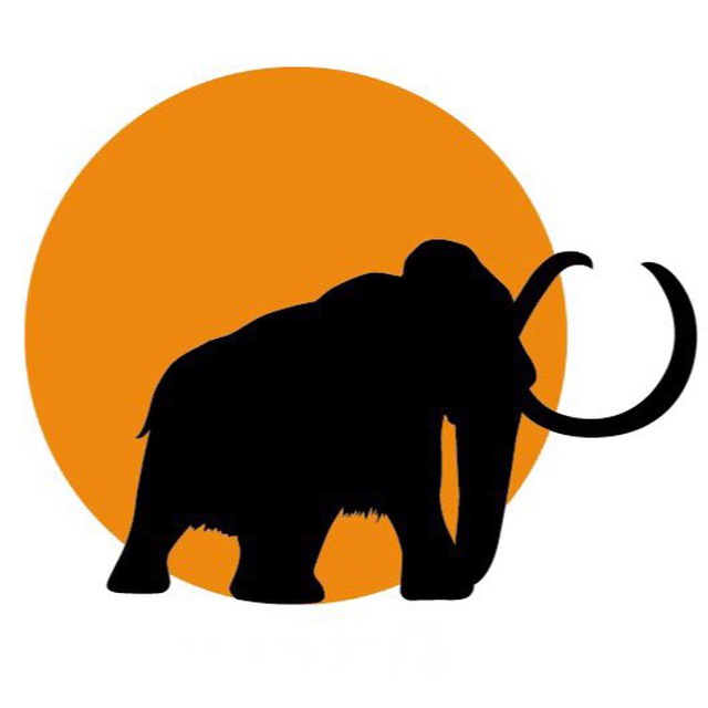 Музей пермских древностей