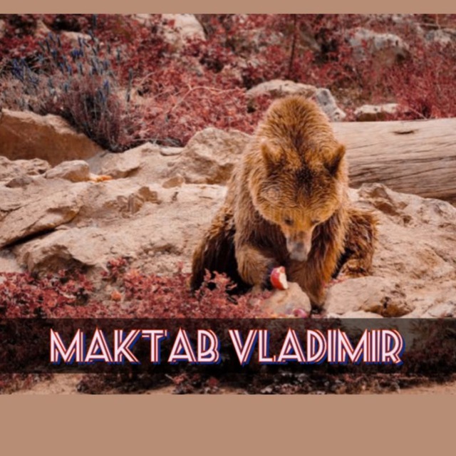 Maktab Vladimir | مکتب...