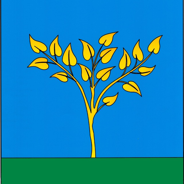 МКУ ТУ Вялковское
