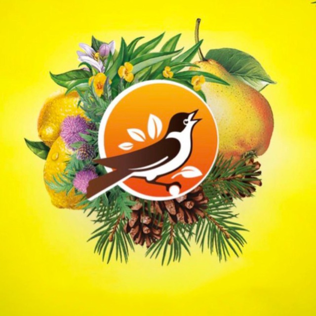 Черноголовка