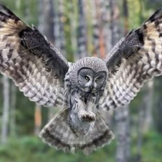 Сказкотерапия