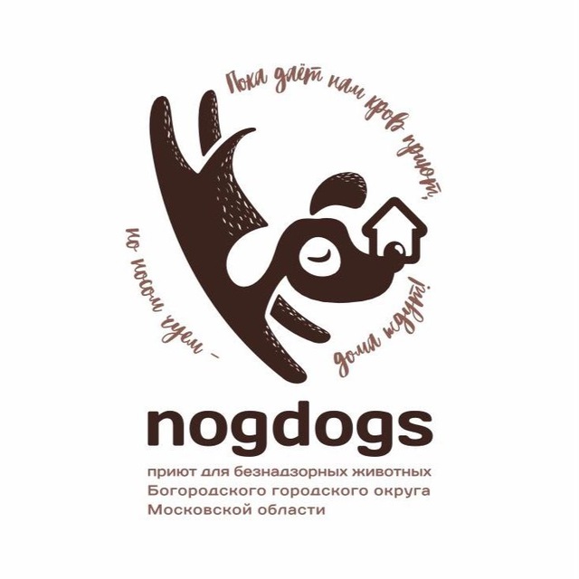 NOGDOG