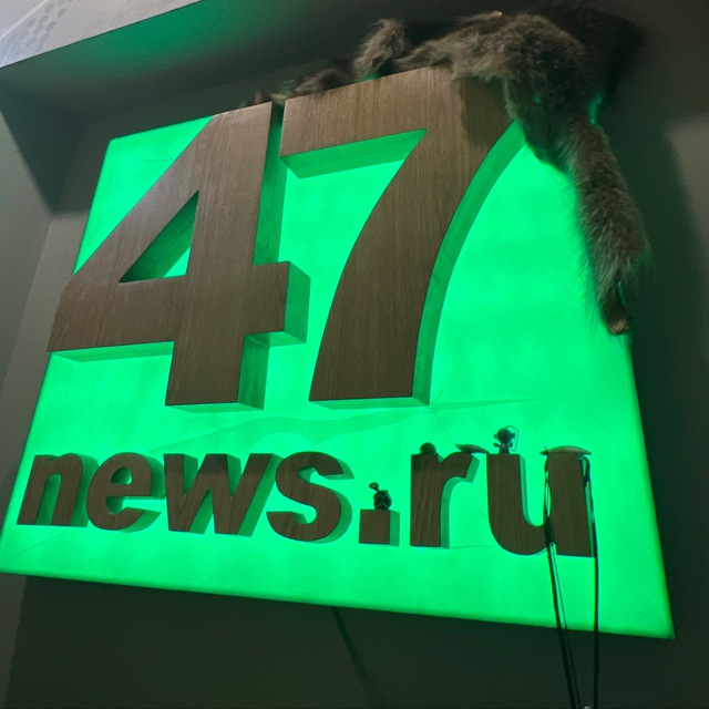 47news