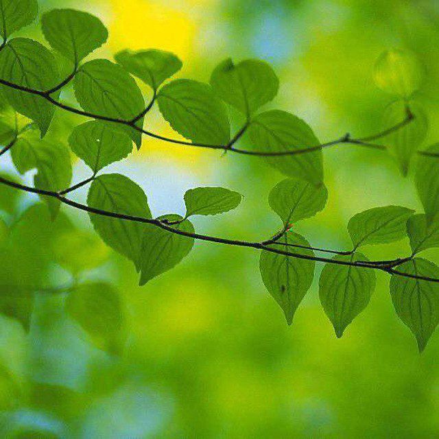 ?ВДА "Весна". Спикерские ☀️??