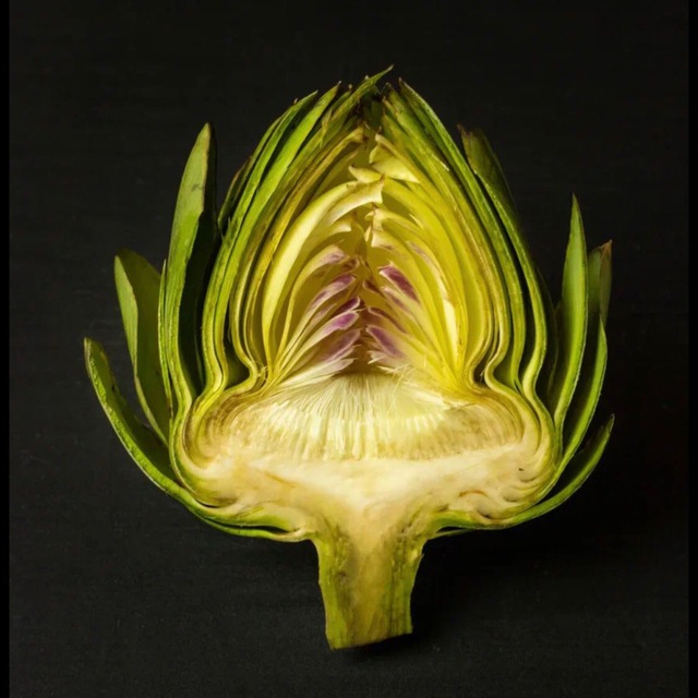 ПЛОДЫ И КОРНИ