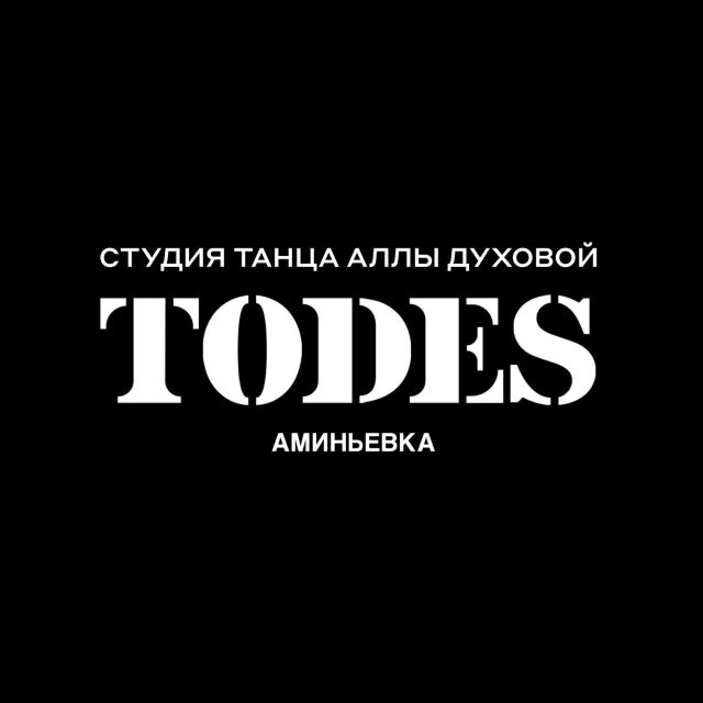 Студия-школа TODES Аминьевка