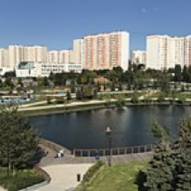 ЧП Южное Бутово