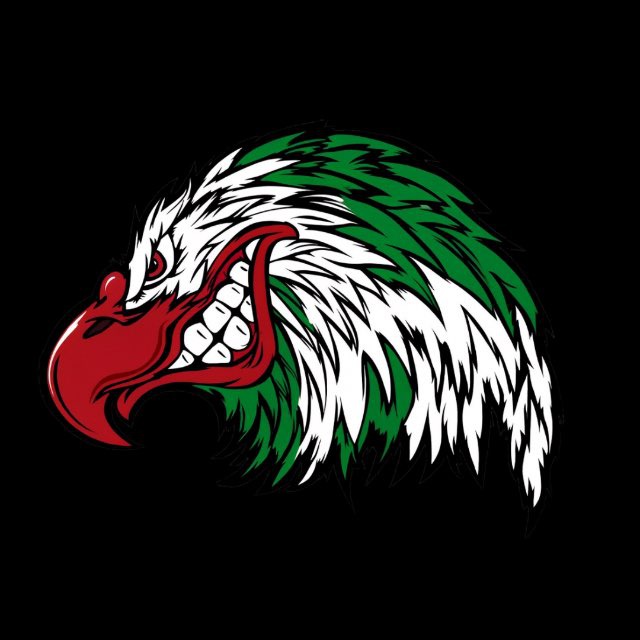 ДУХ ИНГУШЕТИИ