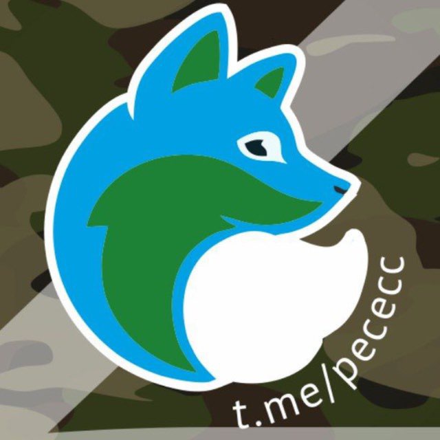 Платиновый песец. Песец карельский. Песец янао. Московский песец телеграмм. Московский песец телеграмм.