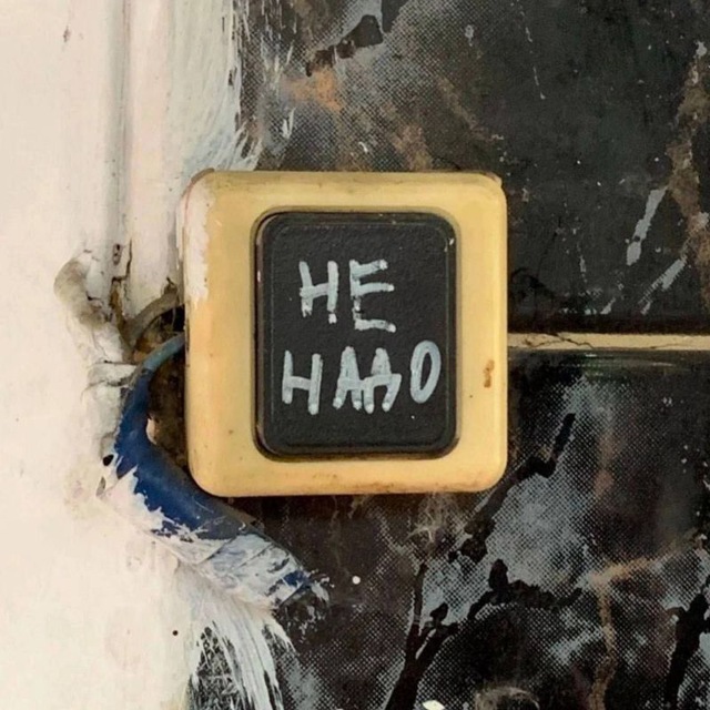 А ещё я выгуливаю собак