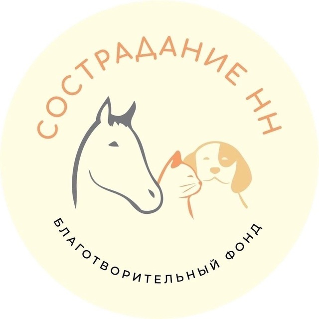 БФ СостраданиеНН?