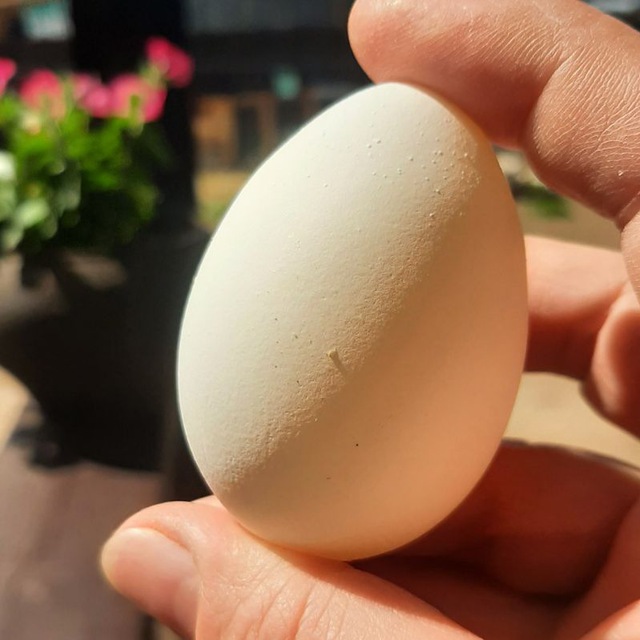 ЭКО-рынок Подворье Россия