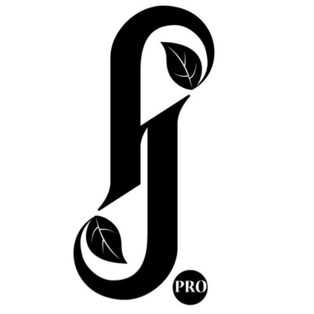Forest Jam Project ??