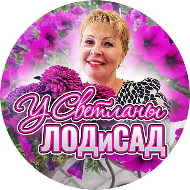 У Светланы Лодисад