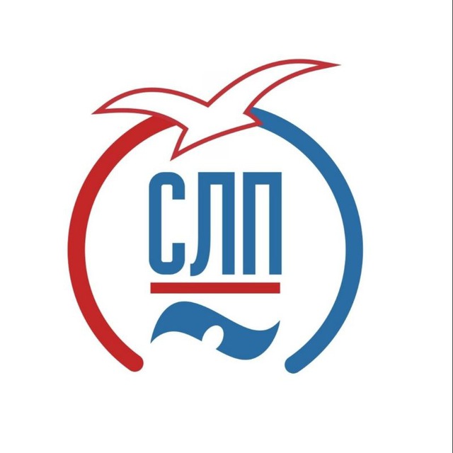 СЛП ?‍♂️ Студенческая Лига Плавания