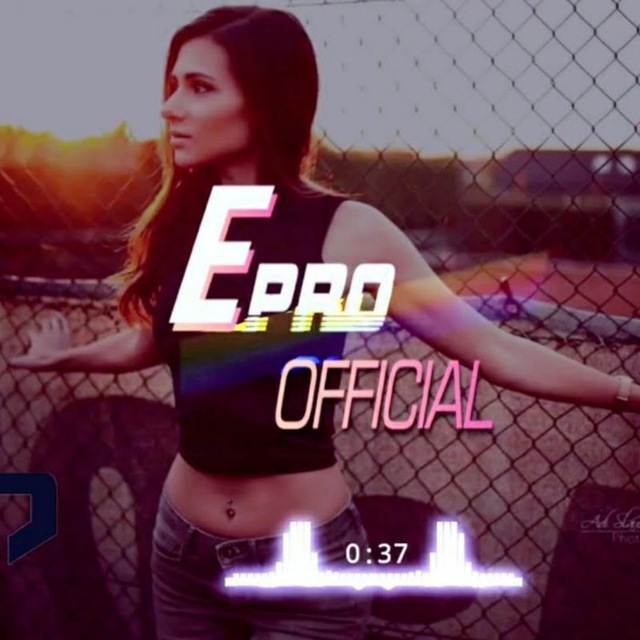 Elsen Pro
