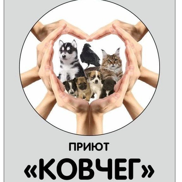 "КОВЧЕГ" Новороссийск Помогать легко и приятно - попробуй!? Спасаем животных вместе.