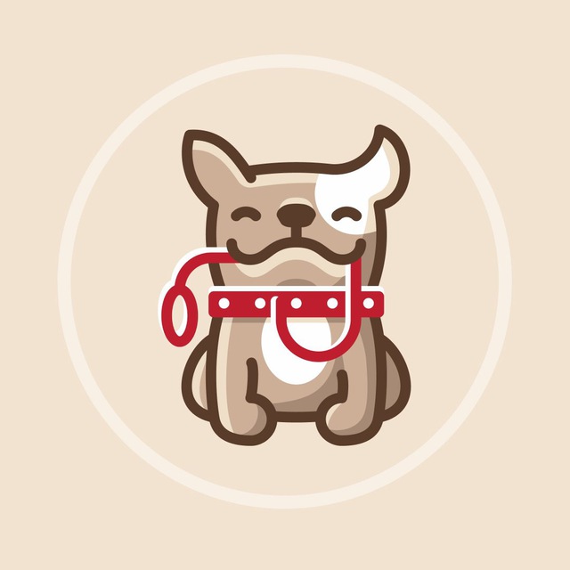 Гульдог - выгул и дрессировка собак