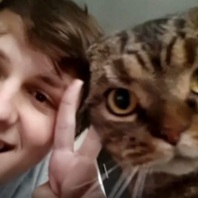 Колючая хатка