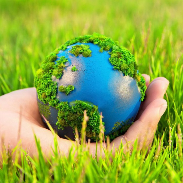 WTFact в Природе?️