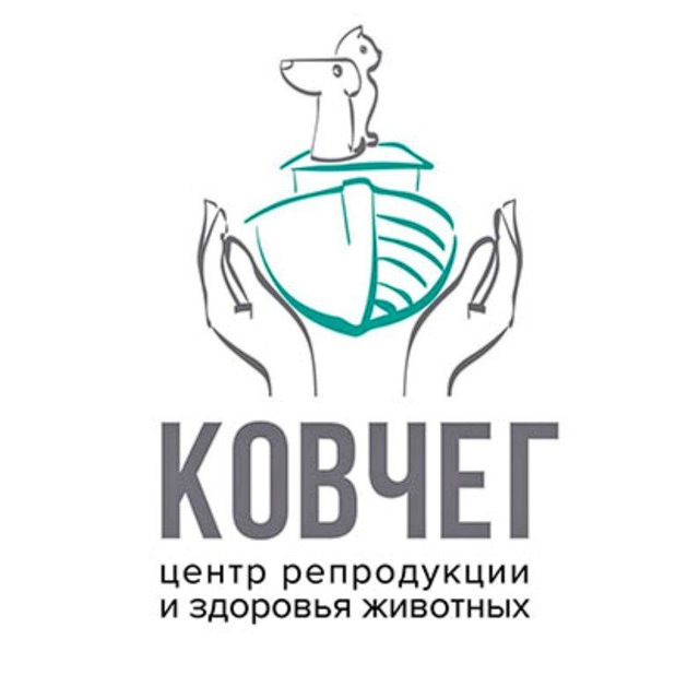 Ветцентр Ковчег