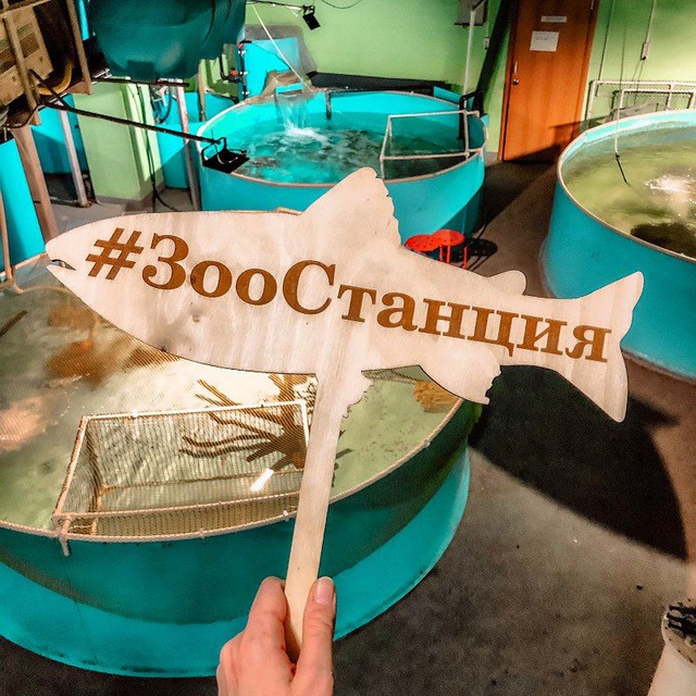 ЗооСтанция Московская. Экскурсии в мир животных от специалистов