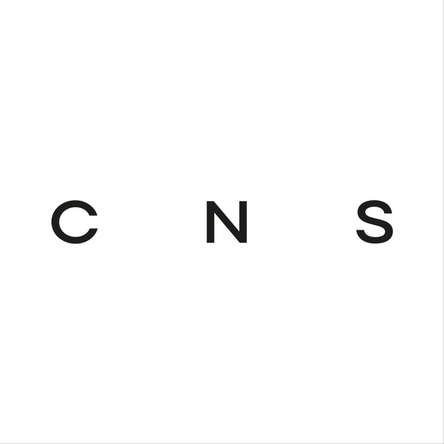 CNS — COINED IN STONE