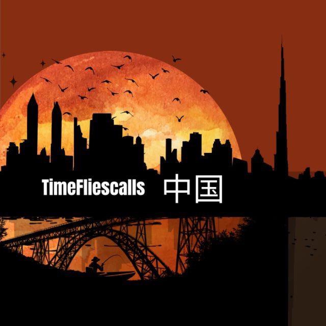 telegram-channel-solummarket-china-timefliescalls-tgstat