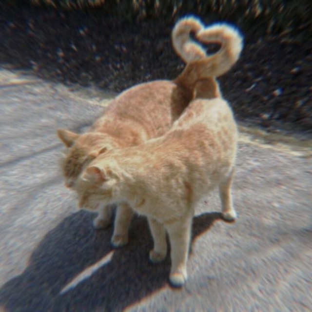 ищу ᴄᴨ / ᴨд