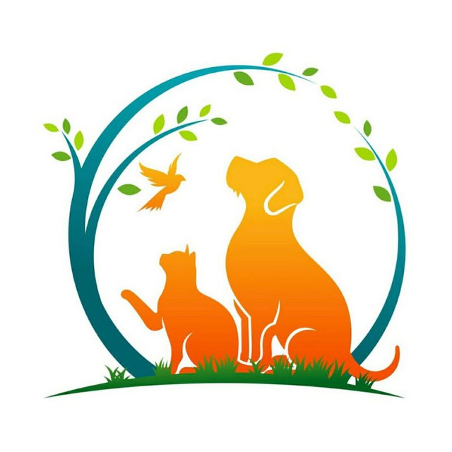 Бравекто?/Симпарика/Animal Healer