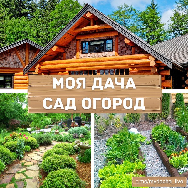 Дача сад огород (74 фото)