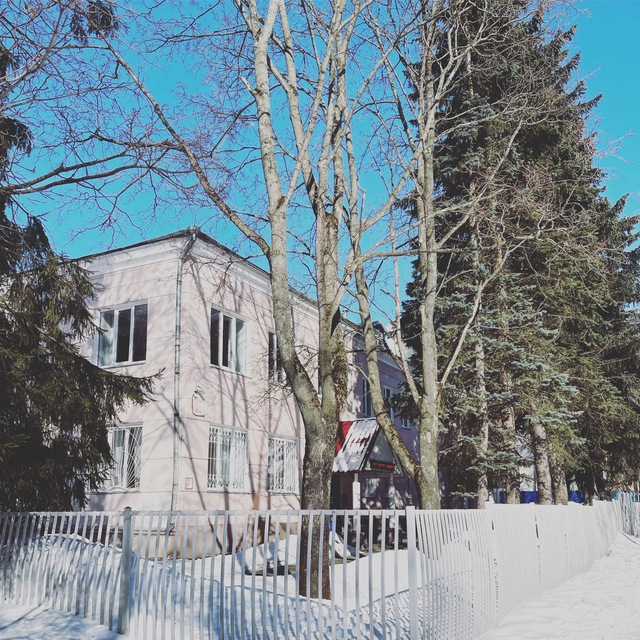 Пироговская СДШИ