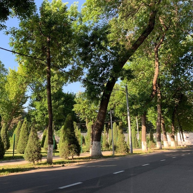 Махалля Ю. Раджаби
