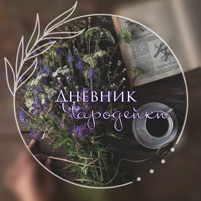 Дневник Чародейки