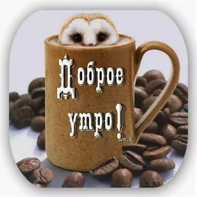 Прикольные фотки с добрым утром. С добрым утречком прикольные. с добрым утром прикол. доброе утро картинки прикольные. с добрым утречком прикольные картинки.