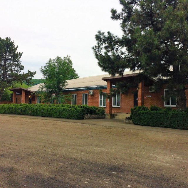 Специализированная психиатрическая больница №6