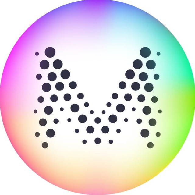 Muon Network (ENGLISH ONLY)