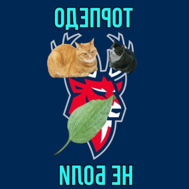 ВГИК | ТОРПЕДО