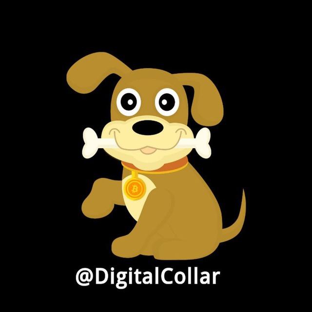 Цифровой Ошейник | Digital Collar